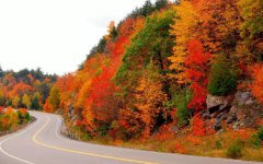 �������|��������ô���������