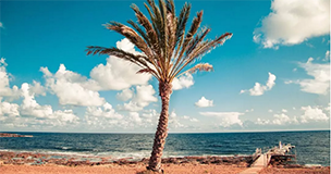 95��ŷԪ������·˹һ�������׬��