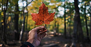 �ӹ���ѧ������������ʷ�¸ߣ�����