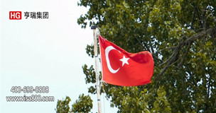 2019��Ͷ�������ġ�������������