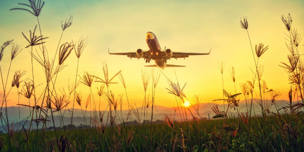 ���������أ���Щ���Կɿ�������