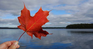 ����֮�£����ô���ڹ���ѧ���Ĺ�