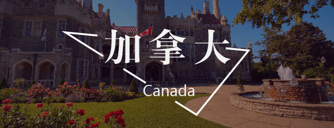 裬ôסˣ|