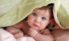 ��ŷ�޳������������ܷ�ֱ��ȡ����Ӧ���ҹ�����