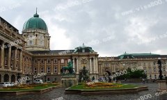 ȵ