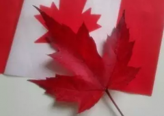 �����ô�ɣ������¸����������4