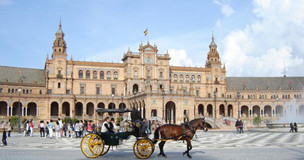 2019ȫ�����������������������