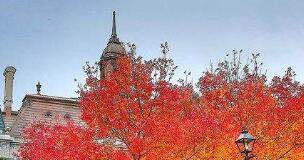 ������ô�����ҵ����ӣ������Ҳ�