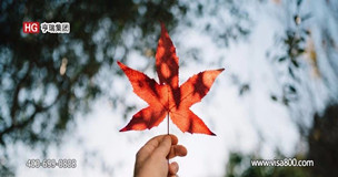 ���ô��г���50���ְλ��ȱ������