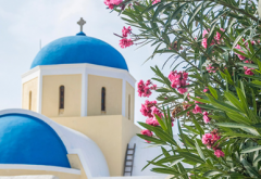 ���ã�ϣ���������ҵ���ǣ���ҵ